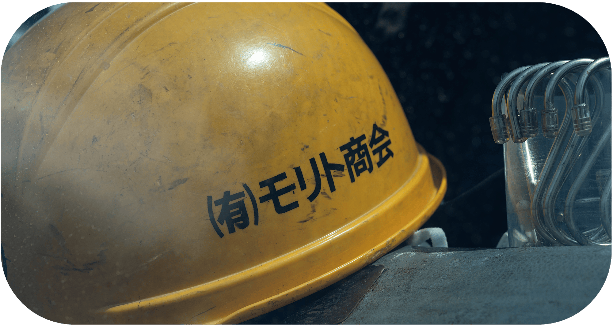 採用情報
